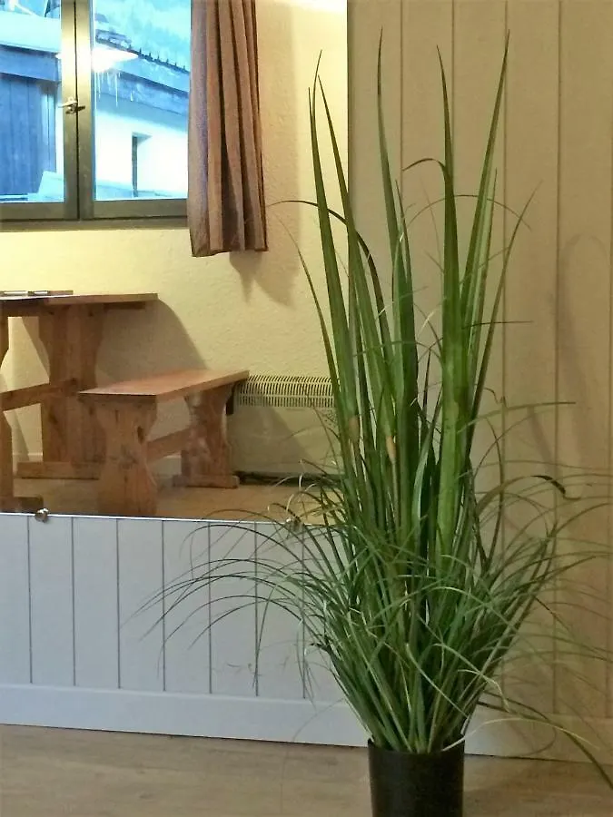 Appartement Duplex Forclaz شامونكس